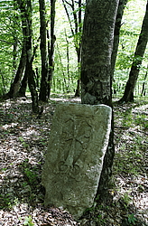 ��������� � ��������