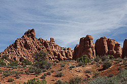 ������������ ���� �����. ������ ����. ���� ���