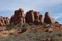 ������������ ���� �����. ������ ����. ���� ���