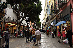 �������. ����� ������