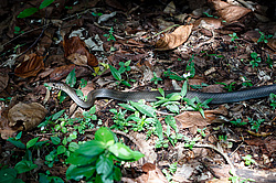 �� ����� <�������� � �������� ��� �����>