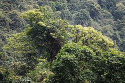 �� ����� <������� ���������� ��������>