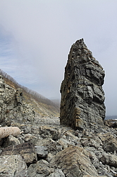 ����� ���������, ������ �������, ������-�������� ����������, ���������� ����, ������