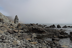 ����� ���������, ������ �������, ������-�������� ����������, ���������� ����, ������