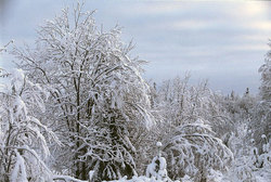 ����������� ��� � ������������ ��������� (�������)