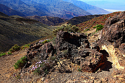 ������������ ���� ������ ������, ���