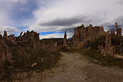 ����� ����. ����������