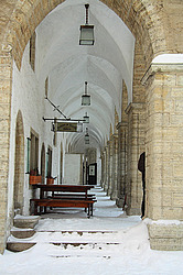 ������, ������ ��� ������ ( 2010 �)