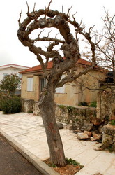 ������, ��������� ������ �� ��������� �����