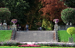 �����, ����� ������