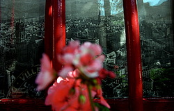 �����, ����� ������