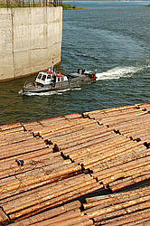 ����������� ���, �������� ������