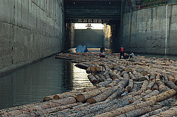 ����������� ���, �������� ������