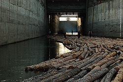 ����������� ���, �������� ������