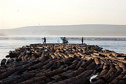 ����������� ���, �������� ������