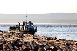 ����������� ���, �������� ������