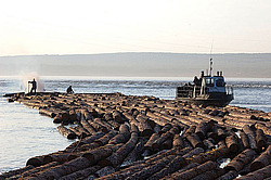 ����������� ���, �������� ������