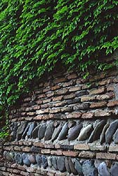 ���� �� �������� ������