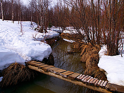 ���������� ����, �������� ������� �� ���� ���-�, ��� 2014