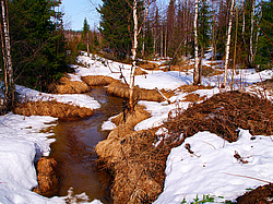 ���������� ����, �������� ������� �� ���� ���-�, ��� 2014