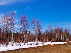 ���������� ����, �������� ������� �� ���� ���-�, ��� 2014