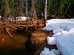 ���������� ����, �������� ������� �� ���� ���-�, ��� 2014