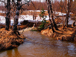 ���������� ����, �������� ������� �� ���� ���-�, ��� 2014