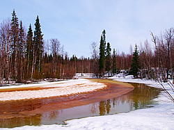 ���������� ����, �������� ������� �� ���� ���-�, ��� 2014