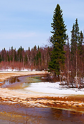 ���������� ����, �������� ������� �� ���� ���-�, ��� 2014