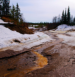 ���������� ����, �������� ������� �� ���� ���-�, ��� 2014