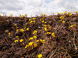 ���������� ����, �������� ������� �� ���� ���-�, ��� 2014