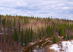 ���������� ����, �������� ������� �� ���� ���-�, ��� 2014