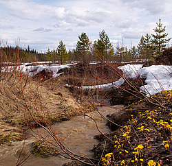 ���������� ����, �������� ������� �� ���� ���-�, ��� 2014