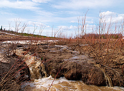 ���������� ����, �������� ������� �� ���� ���-�, ��� 2014