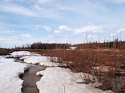 ���������� ����, �������� ������� �� ���� ���-�, ��� 2014