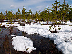 ���������� ����, �������� ������� �� ���� ���-�, ��� 2014