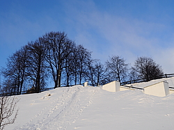 �������� ���������� (������� 2016 ����), ���������, ������