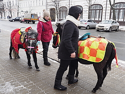 ���������, ������� �� ��������� �������, ���������, ������� 2017