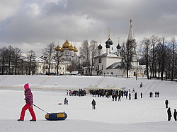 ���������,  ������� �����������, ���������, ������� 2017