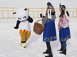 ���������,  ������� �����������, ���������, ������� 2017