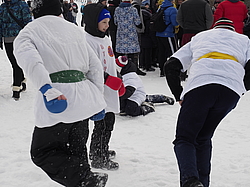 ���������,  ������� �����������, ���������, ������� 2017