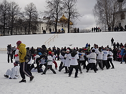 ���������,  ������� �����������, ���������, ������� 2017