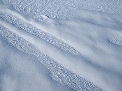 ������� ��������� �����