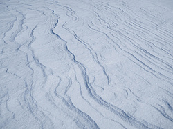 ������� ��������� �����