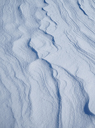 ������� ��������� �����