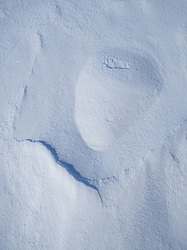 ������� ��������� �����