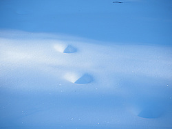 ������� ��������� �����