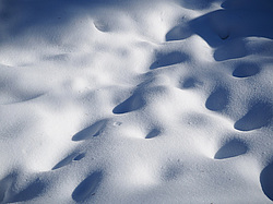 ������� ��������� �����