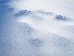 ������� ��������� �����