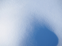 ������� ��������� �����